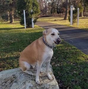 Meet your Posher, Dale